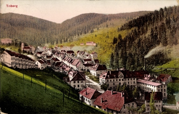 Ak Triberg im Schwarzwald, Panorama von  Schwarzwald, Häuser mit roten Dächern, Wasserfall