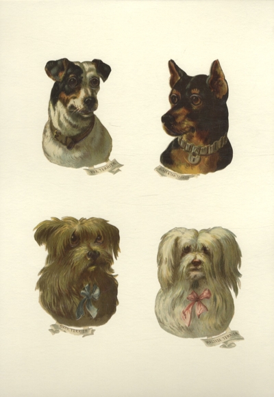 4 pieski waflowe, różnych ras, każdy o wymiarach ok. 8,5 x 6 cm
