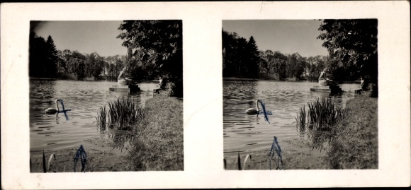 Stereo spatial image photo Schöne Heimat No. 17, Schwetzingen in Baden, castle park, swan