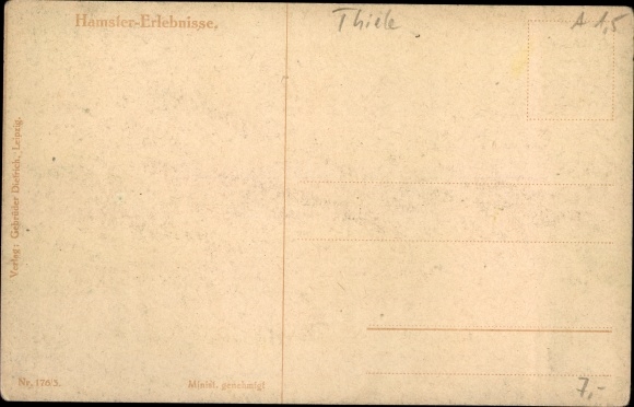 Artist Postcard Thiele, Arthur, hamster experiences, the eye of the law is awake, eggs, guitar, cat