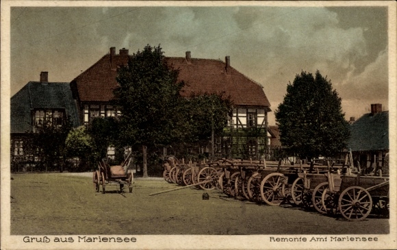 Postcard Mariensee Neustadt am Rübenberge, Remonte Amt Mariensee