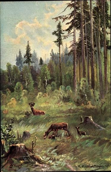Artist PC Müller, M., deer in the forest