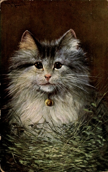 Artist Postcard Müller, August, domestic cat with neck bell, cat portrait