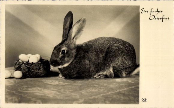 Ak Glückwunsch Ostern, Hase, Ostereier