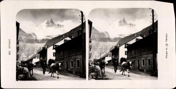 Stereo photo Lavencher Chamonix Mont Blanc Haute Savoie, street scene, cattle