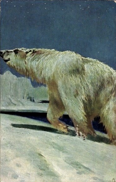 Artist Postcard snow landscape, polar bear
