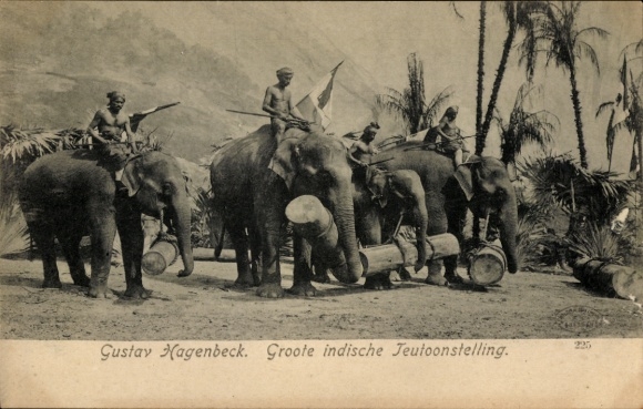 Ak Große indische Völkerschau, Gustav Hagenbeck, Elefanten mit Reitern, Baumstämme