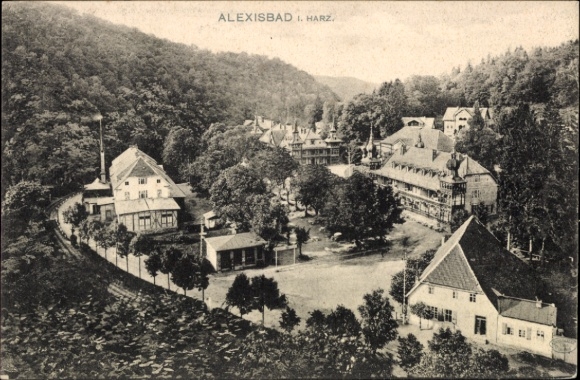 Ak Alexisbad Harzgerode am Harz, Panoramaansicht, Gebäude, Bäume, Harz,  