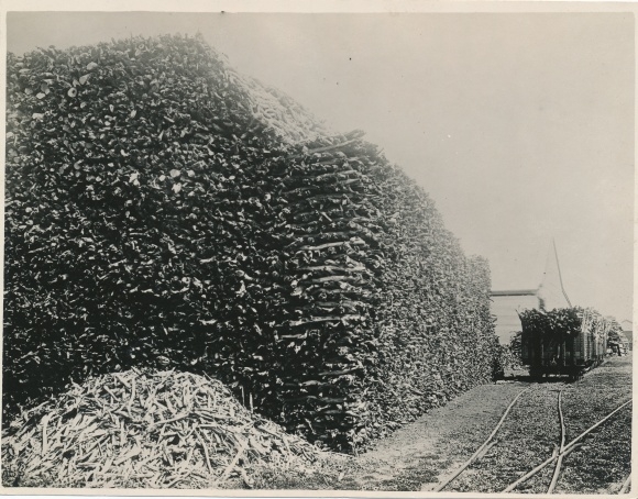 Photo Australia, sandalwood for export, railroad