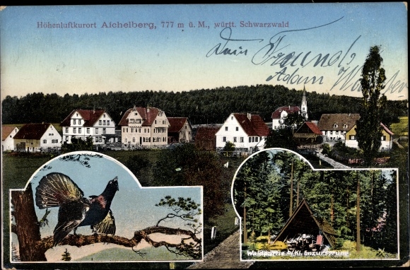 Postcard Aichelberg Black Forest, Enzursprung, Auerhahn