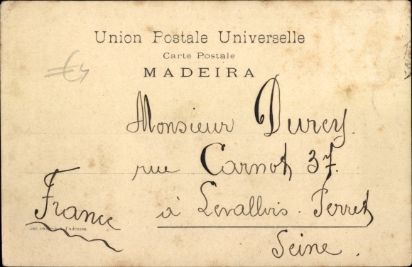 Postcard Insel Madeira Portugal, Oxcart