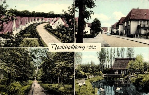 Postcard Bookholzberg Ganderkesee in Lower Saxony, road section, forest, mill with pond