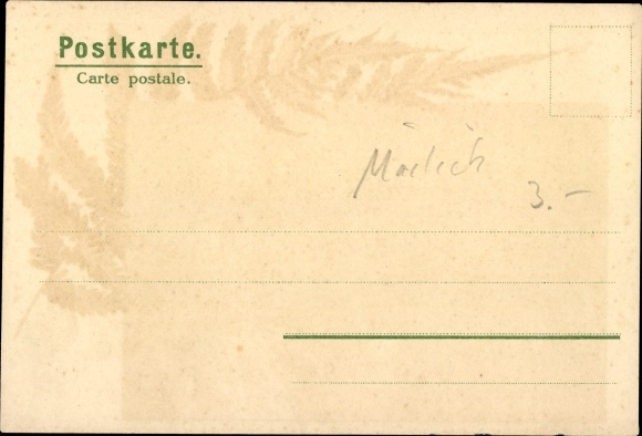 Artist Chromo-Litho Mailick, forest motif, fern, trees