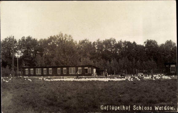 Photo Postcard Waldow Spreewaldheide, poultry yard Schloss Waldow