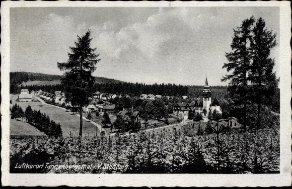 Postcard Tannenbergsthal Muldenhammer in the Vogtland, settlement, panorama of the place