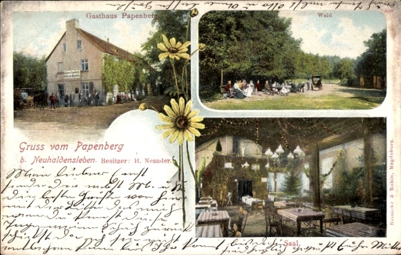 Postcard Neuhaldensleben Haldensleben Börde, Gasthaus Papenberg, interior view