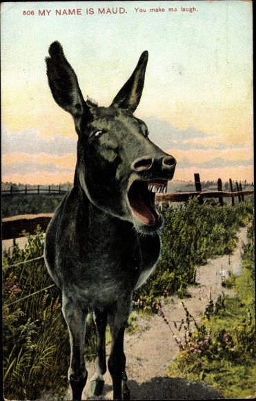 Ak USA, Mijn naam is Maud, je maakt me aan het lachen, Donkey