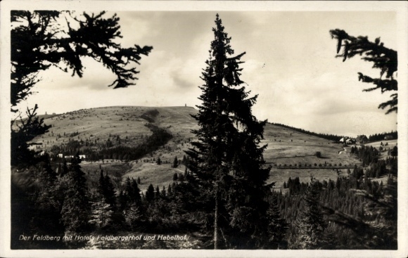 Ak Feldberg im Schwarzwald,  Hotels Feldbergerhof, Hebelhof, Landschaft, Bäume