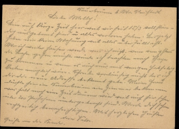 P 314 a "Vienna 1 20.3.45" Ostmark