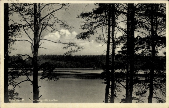 Postcard Briesen in der Mark, atmospheric picture at the lake