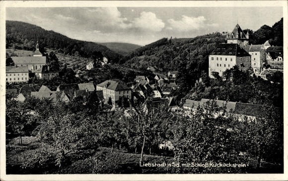 Postcard Liebstadt Erzgebirge Saxony, bird's eye view of the village, Kuckuckstein Castle in the background
