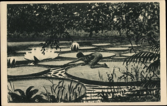 Art Nouveau artist PC Fidus, Victoria Regia, carbon print, water lilies