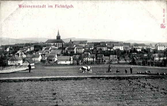 Postcard Weißenstadt in the Fichtelgebirge, total view, cow
