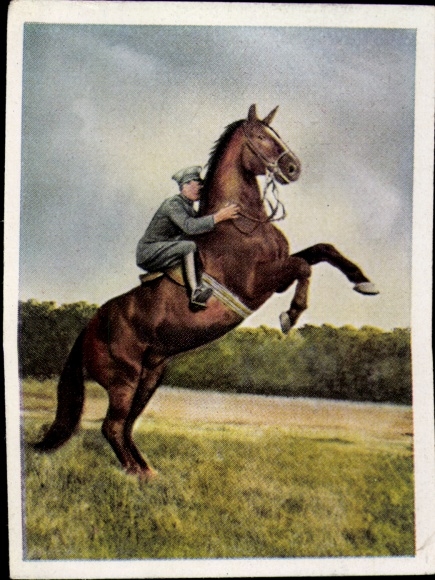 Sammelbild Auf deutscher Scholle, Hans v. d. Nordmark, Bild Nr. 89, Hohe Schule, Pferd, Reiter