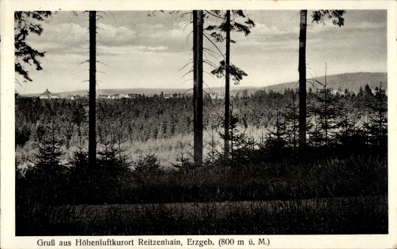 Postcard Reitzenhain Marienberg in the Ore Mountains, Panorama