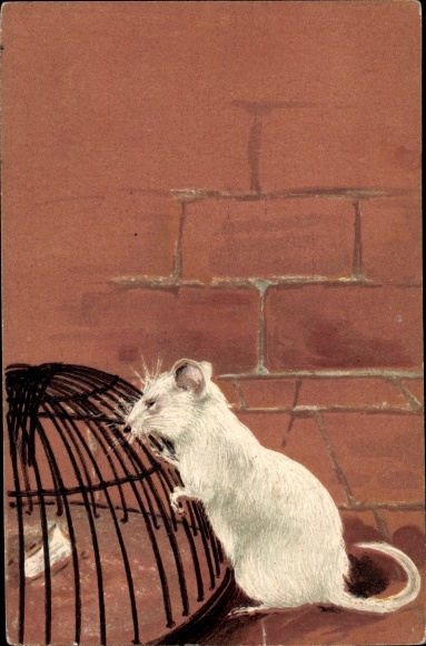 Emboss Chromo-Litho White Mouse, Mousetrap, On Hind Legs