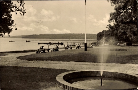 Postcard Altenhof Schorfheide on Lake Werbellin, Promenade