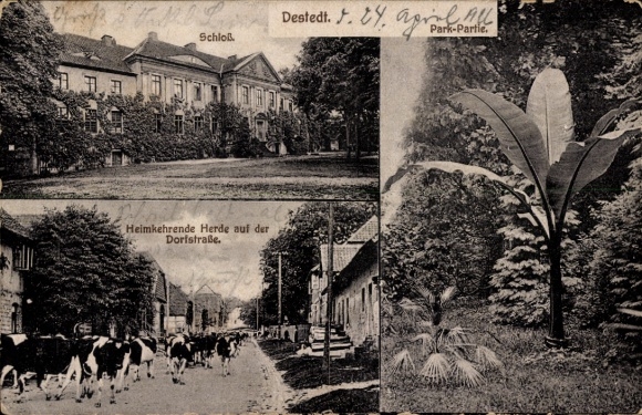 Postcard Destedt Cremlingen in Lower Saxony, castle, park, returning herd, village street