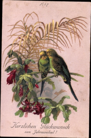 Postcard Happy New Year, budgies, flowering Christmas cactus