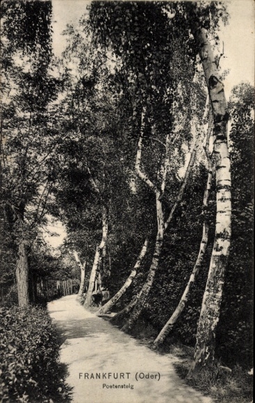 Postcard Frankfurt an der Oder, Poetensteig, Birken