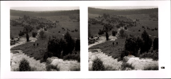 Stereo spatial image photo &quot;German Gaue&quot;, No. 136 Wilsede Bispingen Lüneburg Heath, The Dead Ground