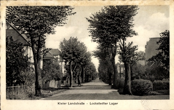 Ak Lockstedt in Holstein, Lockstedter Lager, Kieler Landstraße, Bäume, Wohnhäuser entlang der Str