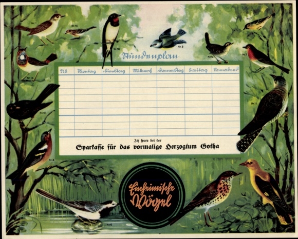Timetable Sparkasse Herzogtum Gotha, German songbirds, blackbird thrush finch around 1930