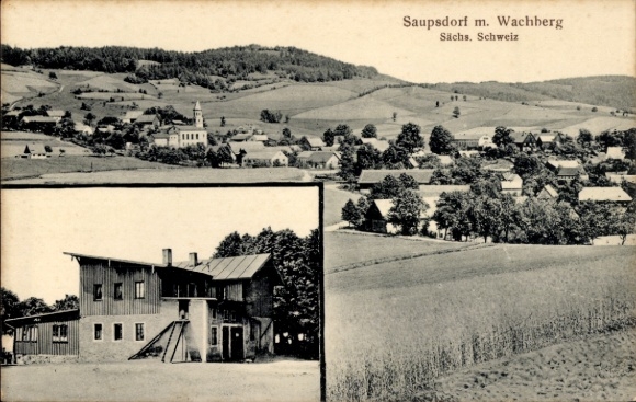 Ak Saupsdorf Sebnitz in Saksen, panorama met Wachberg, gebouwen