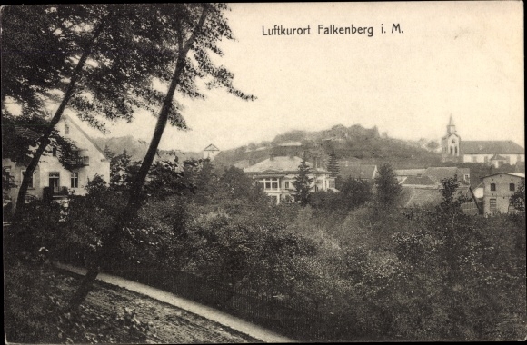 Ak Falkenberg in der Mark, Panorama