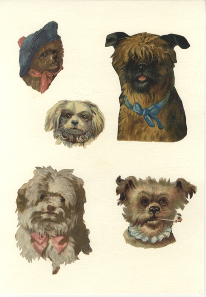 5 waflowych głów psów o wymiarach ok. 11 x 9 cm, 7 x 8 cm, 5 x 6 cm