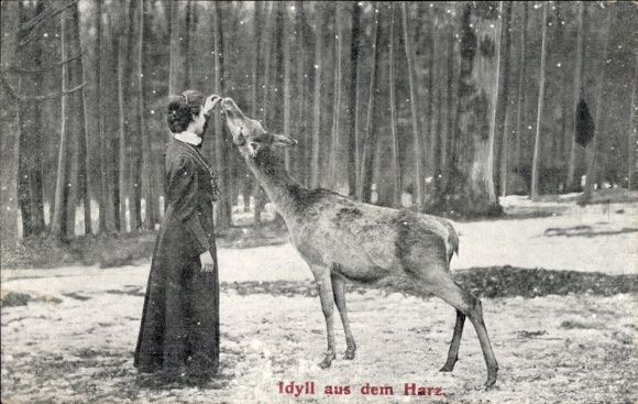 Ak Idyll aus dem Harz, Frau füttert Hirsch