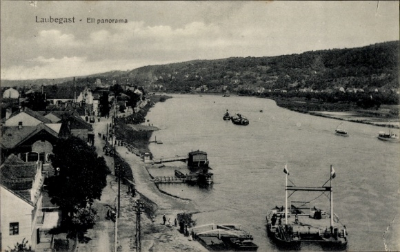 Ansichtkaart Dresden Laubegast, panorama, Elbe