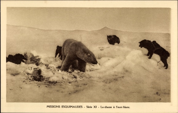 Postcard Missions Esquimaudes, La chasse a l&#39;ours blanc, hunting a polar bear, dog