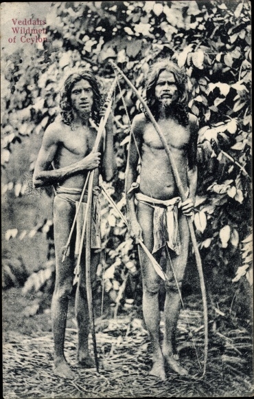 Postcard Sri Lanka Ceylon, Veddah&#39;s Wildmen, men with bows and arrows