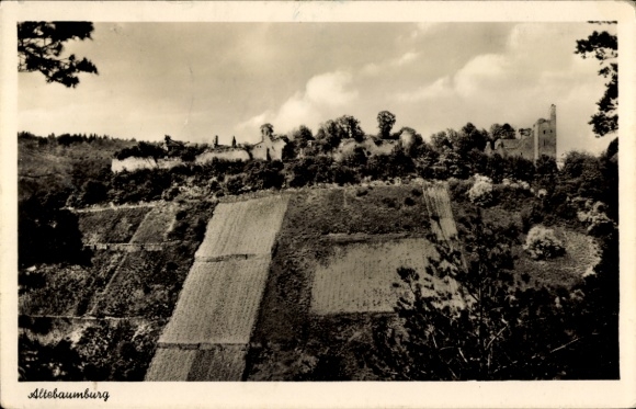 PC Altenbamberg in Rhineland Palatinate, Altenbaumburg, Altebaumburg ruins