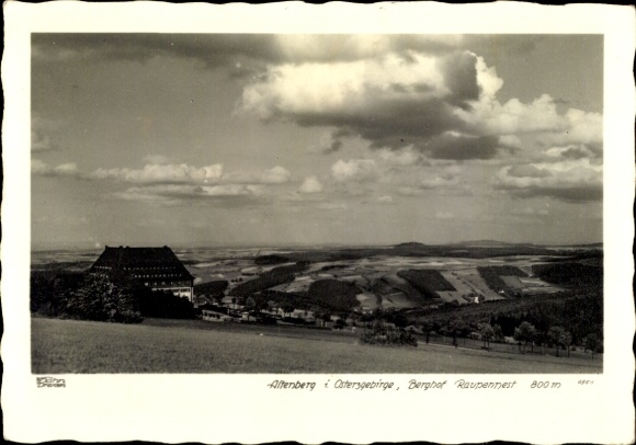 Ak Altenberg im Erzgebirge, Panorama, Berghof Raupennest
