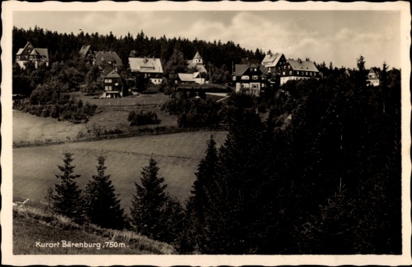Ak Bärenburg Altenberg im Erzgebirge, Kurort  Landschaft mit Häusern, bewaldete Umgebung