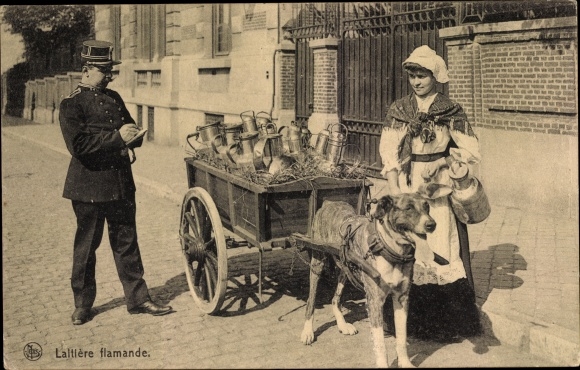 Postcard Laitiere flamande, milkmaid with dog cart, policeman