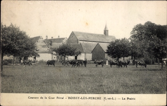 CPA Boissy-lès-Perche Eure et Loir, Prairie
