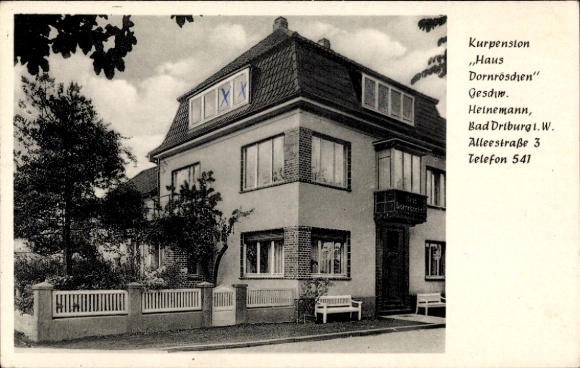 Postcard Bad Driburg, Pension Haus Dornröschen, Alleestraße 3, W Heinemann